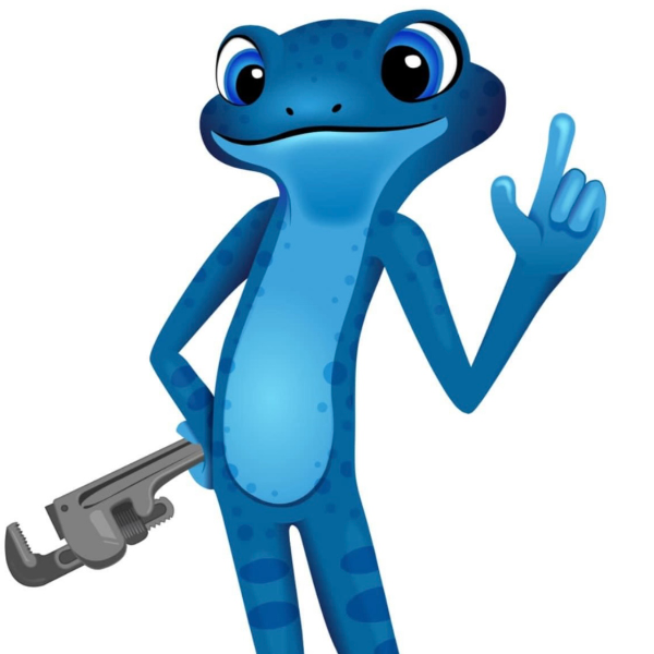 Blue Frog Plumbing Logo